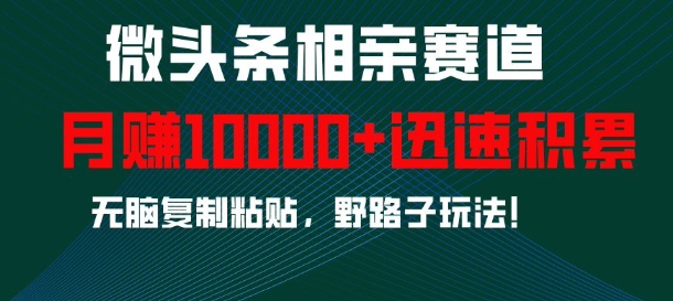微头条相亲赛道，迅速积累，无脑复制粘贴，野路子玩法，月入1w-一起网赚吧