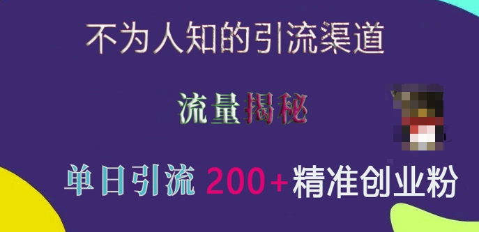 不为人知的引流渠道，流量揭秘，实测单日引流200+精准创业粉【揭秘】-一起网赚吧