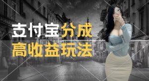 支付宝分成计划新玩法，利用交通事故视频，赚收益，轻松月入过W，操作简单【揭秘】-一起网赚吧