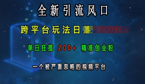 全新引流风口，跨平台玩法日入上k，单日狂揽200+精准创业粉，一个被严重忽略的视频平台-一起网赚吧