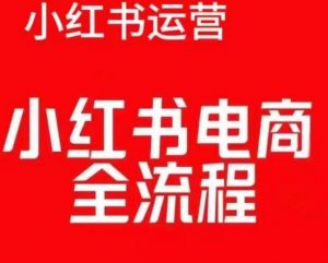 红薯电商实操课,小红书电商全流程-一起网赚吧