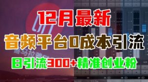 12月最新:音频平台0成本引流,日引流300+精准创业粉-一起网赚吧