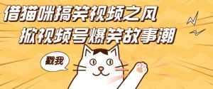 借猫咪搞笑视频之风,掀视频号爆笑故事潮,轻松日入四位数,无门槛快速入门!-一起网赚吧