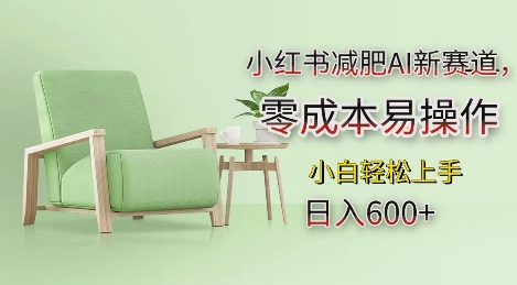 小红书减肥AI新赛道，零成本易操作，日入多张，小白轻松上手【揭秘】-一起网赚吧