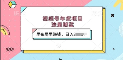 视频号年货项目，流量贼猛，早布局早挣钱，日入上k【揭秘】-一起网赚吧