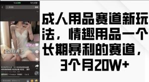 成人用品赛道新玩法,情趣用品一个长期暴利的赛道,3个月收益20个【揭秘】-一起网赚吧