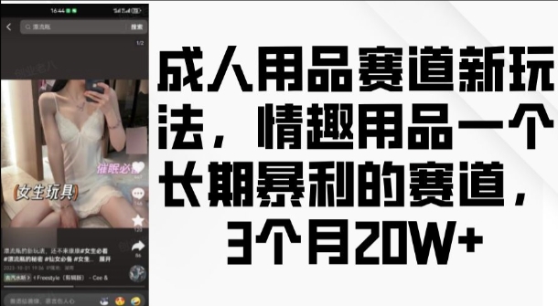成人用品赛道新玩法，情趣用品一个长期暴利的赛道，3个月收益20个【揭秘】-一起网赚吧