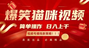 爆笑猫咪视频：简单操作，日入过K，视频号搞钱新策略【揭秘】-一起网赚吧