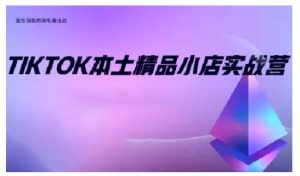 TikTok本土精品小店出海实战营，从入门到高阶，不止0-1!-一起网赚吧