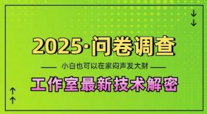 2025问卷调查最新工作室技术解密：一个人在家也可以闷声发大财，小白一天2张，可矩阵放大【揭秘】-一起网赚吧
