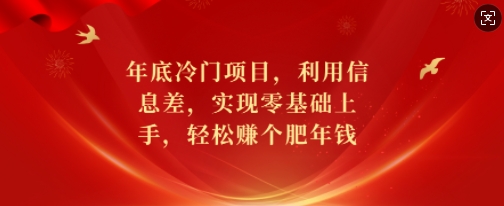 年底冷门项目，利用信息差，实现零基础上手，轻松赚个肥年钱【揭秘】-一起网赚吧