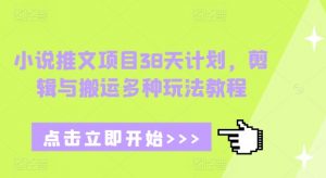 小说推文项目38天计划，剪辑与搬运多种玩法教程-一起网赚吧