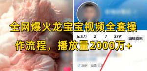 全网爆火龙宝宝视频全套操作流程，播放量2000万+-一起网赚吧