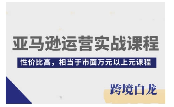 亚马逊运营实战课程，亚马逊从入门到精通，性价比高，相当于市面万元以上元课程-一起网赚吧