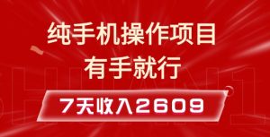 纯手机操作的小项目，有手就能做，7天收入2609+实操教程【揭秘】-一起网赚吧