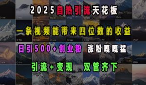 2025自热引流天花板，一条视频能带来四位数的收益，引流+变现双管齐下，日引500+创业粉，涨粉嘎嘎猛-一起网赚吧