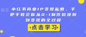 小红书商业IP变现私教，手把手教会你从0-1制作短视频到变现的全过程-一起网赚吧