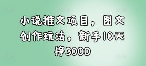 小说推文项目,图文创作玩法,新手10天挣3000-一起网赚吧