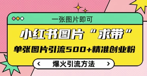 小红书图片‘求带’爆火引流法，单张图片引流500+精准创业粉【揭秘】-一起网赚吧