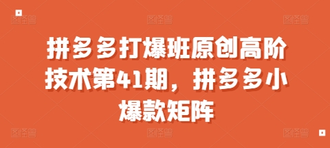 拼多多打爆班原创高阶技术第41期，拼多多小爆款矩阵-一起网赚吧