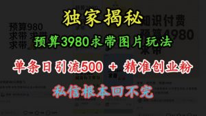 预算3980求带 图片玩法，单条日引流500+精准创业粉，私信根本回不完-一起网赚吧