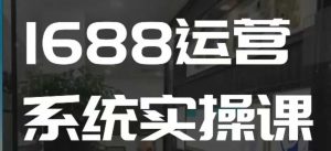 1688高阶运营系统实操课，快速掌握1688店铺运营的核心玩法-一起网赚吧