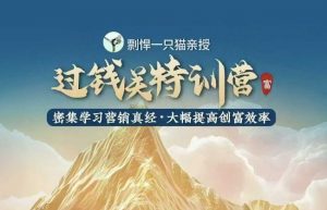 剽悍一只猫-过钱关特训营，学习营销真经 大幅度提高创富效率-一起网赚吧