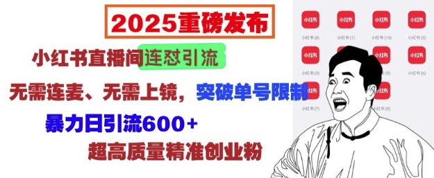 2025重磅发布：小红书直播间连怼引流，无需连麦、无需上镜，突破单号限制，暴力日引流600+-一起网赚吧