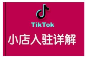 TikTok跨境小店运营全攻略,帮助你独立运营TK跨境小店的能力,实现销量增长-一起网赚吧