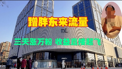 蹭胖东来流量，三天涨万粉，收益直接起飞-一起网赚吧