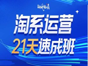淘系运营21天速成班35期，年前最后一波和2025方向-一起网赚吧