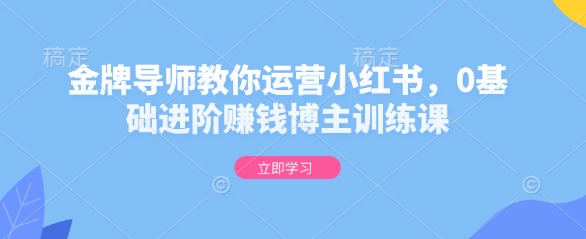 金牌导师教你运营小红书，0基础进阶赚钱博主训练课-一起网赚吧