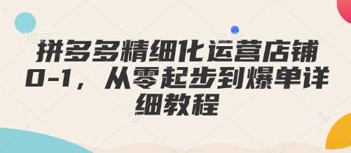 拼多多精细化运营店铺0-1，从零起步到爆单详细教程-一起网赚吧