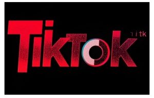 TikTok ads投流秘籍，涵盖tiktok整体投放思路，教你搭建测试计划-一起网赚吧