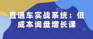 直通车实战系统：低成本询盘增长课，让个人通过技能实现升职加薪，让企业低成本获客，订单源源不断-一起网赚吧