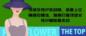 顶流女性IP实战班,流量上亿情绪引爆法,深度打磨顶流女性IP硬核基本功-一起网赚吧