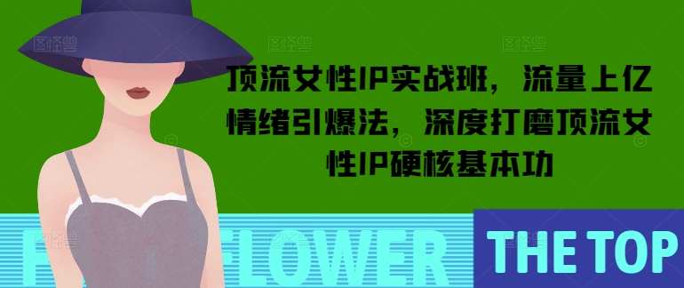 顶流女性IP实战班，流量上亿情绪引爆法，深度打磨顶流女性IP硬核基本功-一起网赚吧