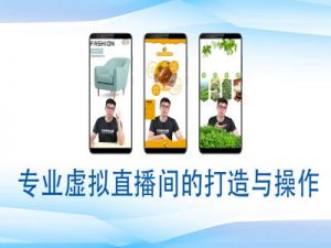 个人虚拟直播间的搭建与操作，专业虚拟直播间的打造与操作-一起网赚吧