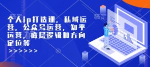 个人ip打造课，私域运营，公众号运营，知乎运营，底层逻辑和方向定位等-一起网赚吧