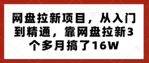 网盘拉新项目，从入门到精通，靠网盘拉新3个多月搞了16W-一起网赚吧