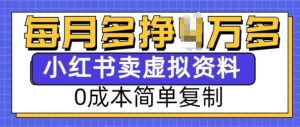 小红书虚拟资料项目,0成本简单复制,每个月多挣1W【揭秘】-一起网赚吧