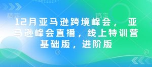 12月亚马逊跨境峰会， 亚马逊峰会直播，线上特训营基础版，进阶版-一起网赚吧