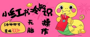 小红书冷知识账号，无脑复制粘贴，5分钟即可变现3张-一起网赚吧