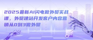 2025最新AI闪电做外贸实战课，外贸建站开发客户内容营销从0到3做外贸-一起网赚吧