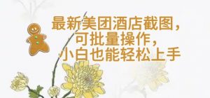 【轻云】最新美团酒店截图，可批量操作，小白也能轻松上手-一起网赚吧