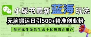 小绿书无脑搬运引流，全自动日引500精准创业粉，微信生态内又一个闷声发财的机会-一起网赚吧