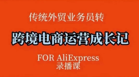 跨境电商速卖通运营课，​运营方法论+后台实操，逻辑清晰-一起网赚吧