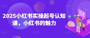 2025小红书实操起号认知课,小红书的魅力-一起网赚吧