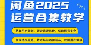 2025闲鱼电商运营全集，2025最新咸鱼玩法-一起网赚吧