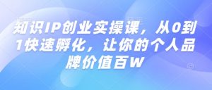 知识IP创业实操课,从0到1快速孵化,让你的个人品牌价值百W-一起网赚吧